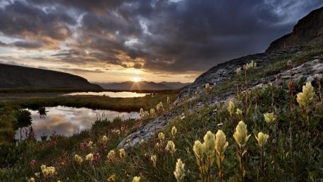 Serene Sunset Over Mountainous Landscape with Wildflowers wallpaper