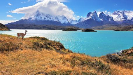 Majestic Serenity of Nature's Splendor wallpaper