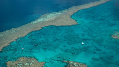 Vibrant Coral Reef Aerial View wallpaper