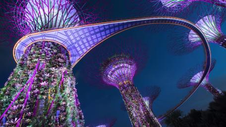 Stunning Nightscape of Futuristic City Gardens wallpaper