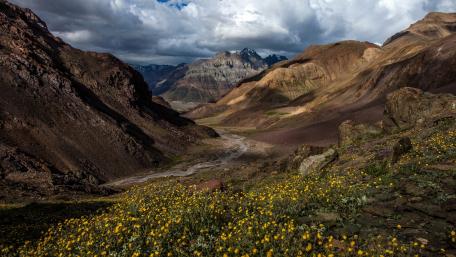 Majestic Mountain Landscape with Wildflowers and Clouds wallpaper