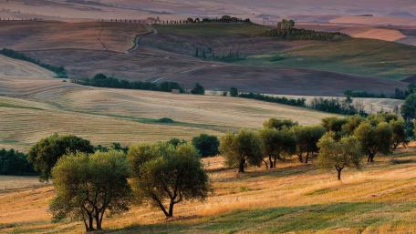 Serene Rolling Hills of Tuscany at Sunrise wallpaper