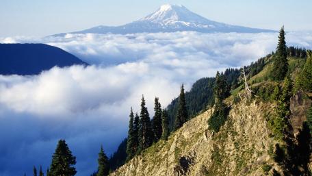 Majestic Mountain Surrounded by Clouds and Pines wallpaper