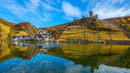 Autumn Vineyards Reflected in Serene Waters wallpaper