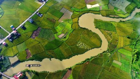 Lush Green Fields and Meandering River Beauty wallpaper