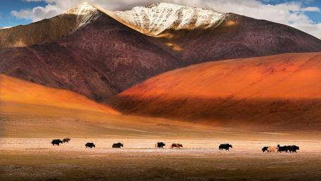 Majestic Mountains Under a Golden Sky wallpaper