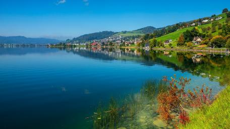 Tranquil Lakeside Serenity in Nature's Embrace wallpaper