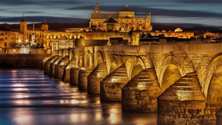 Illuminated Bridge and Historic Cityscape at Night wallpaper