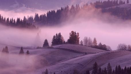 Serene Misty Hills in Twilight Shades wallpaper