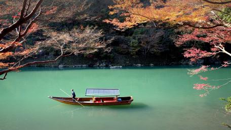 Serenity on the Tranquil Lake wallpaper