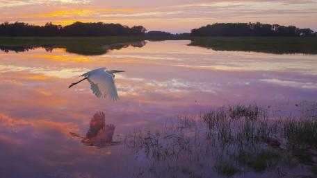 Serene Sunset over Tranquil Waters with Birds Flying wallpaper