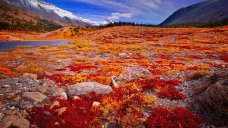Vibrant Autumn Landscape with Mountains and Lake wallpaper