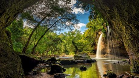 Serene Jungle Waterfall Scene wallpaper