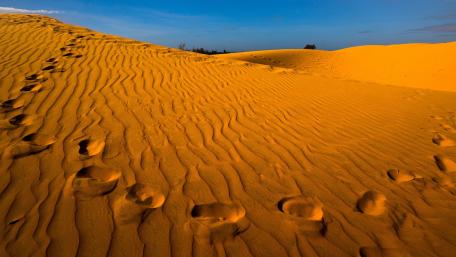 Golden Dunes Under the Sunlight wallpaper