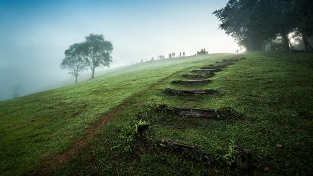 Serene Morning on a Misty Hilltop wallpaper