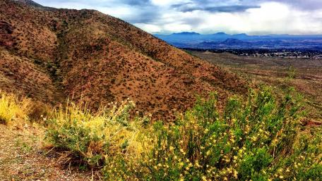 Majestic Mountain Landscape with Wildflowers in Bloom wallpaper