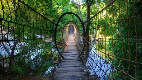Enigmatic Bridge Through Lush Greenery wallpaper