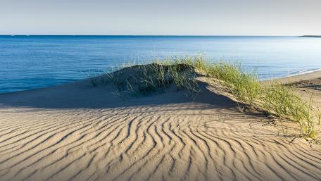 Serene Dunes by the Tranquil Sea wallpaper