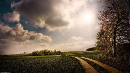 Serene Pathway Through a Lush Landscape wallpaper