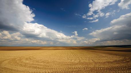 Endless Horizons of Tranquil Landscapes wallpaper