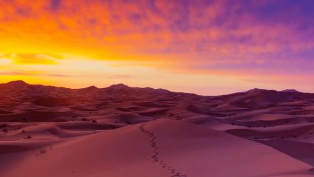 Desert Sunset Serenity Awaits You wallpaper