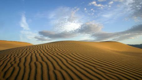 Desert Serenity with Gentle Dunes and Blue Sky wallpaper