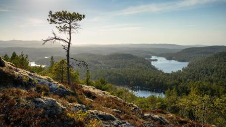 Serene Mountain View Amidst Lush Greenery and Clear Waters wallpaper