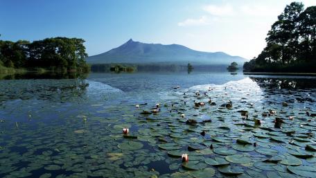 Serenity of a Tranquil Lake Scene wallpaper