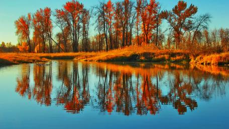 Autumn Serenity Reflected in Water wallpaper