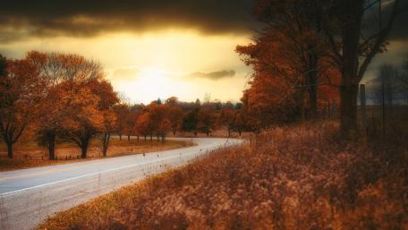 Autumn photo wallpaper