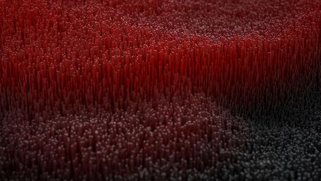 Dynamic Textures of Red and Black Shades wallpaper