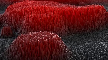 Transcendent Abstract Textures in Red and Black wallpaper
