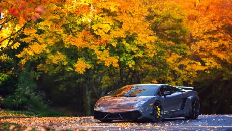 Autumn Vibes with a Sleek Supercar wallpaper