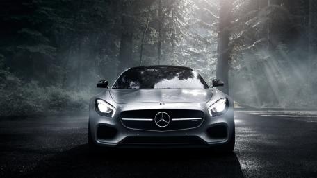 Sleek Elegance in a Misty Forest Setting wallpaper