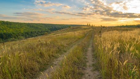 Serene Sunset Over Rolling Hills and Fields wallpaper