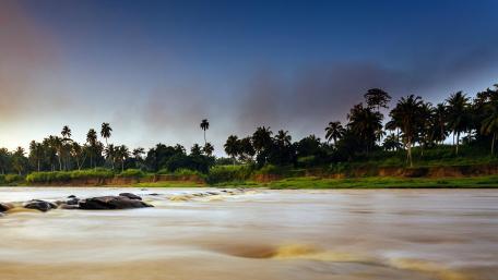 Serene River Tranquility Amidst Lush Palm Trees wallpaper