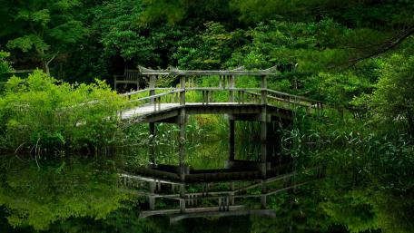 Serene Bridge Reflected in Tranquil Waters wallpaper