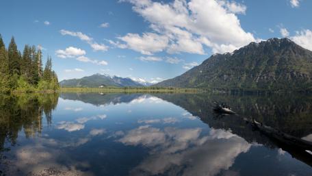 Serene Reflections in Nature's Embrace wallpaper