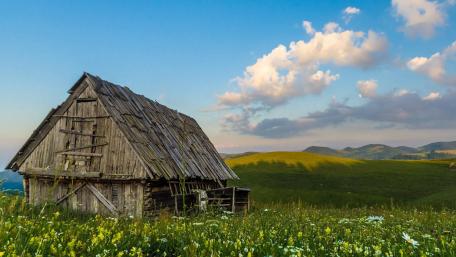 Rustic Cottage in a Serene Field wallpaper