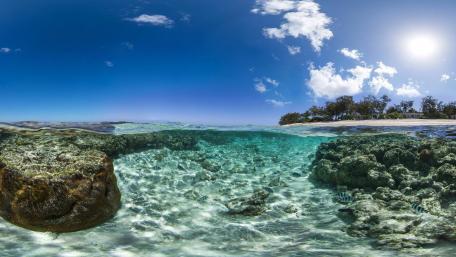 Serene Underwater Paradise Awaits You wallpaper