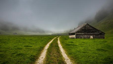 Misty Pathway Through Serene Fields wallpaper