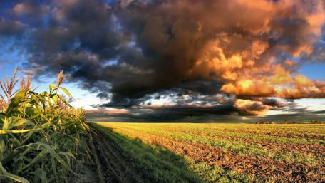 Vibrant Field Under Dramatic Clouds wallpaper
