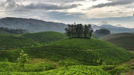 Lush Green Hills with a Majestic Skyline wallpaper