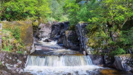 Tranquil River Flowing Through Lush Greenery wallpaper