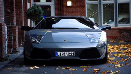 Sleek Lamborghinis in Urban Elegance wallpaper