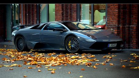 Sleek Lamborghini Among Autumn Leaves wallpaper
