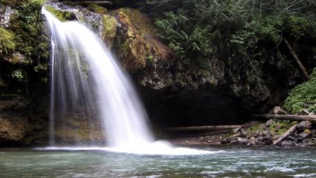 Serene Waterfall in Lush Forest Setting wallpaper