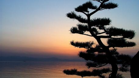 Serene Sunset Over Tranquil Waters wallpaper