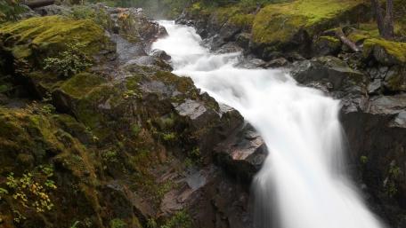 Tranquil Waters Flowing Through Lush Greenery wallpaper