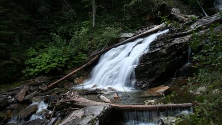 Serene Mountain Stream Flowing Through Greenery wallpaper